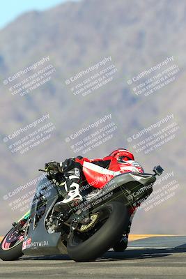 media/Jan-13-2024-SoCal Trackdays (Sat) [[9c032fe5aa]]/Turn 9 Backside (110pm)/